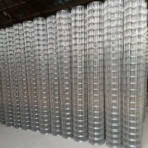 Welded Wire Fence