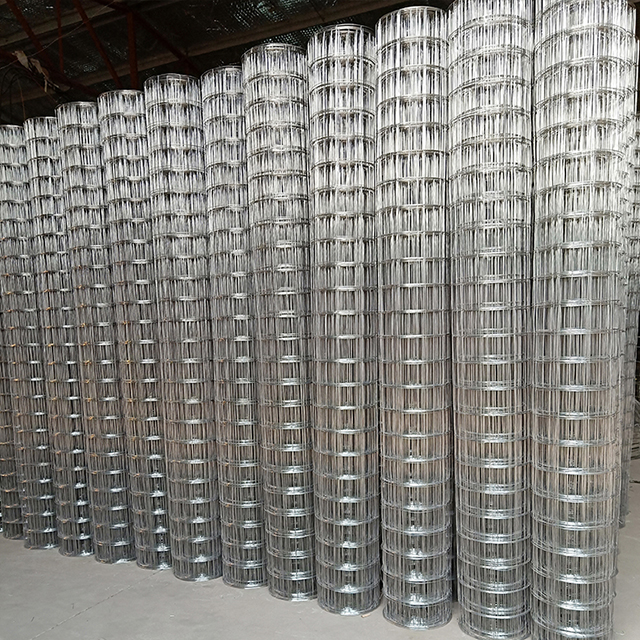 Welded Wire Fence