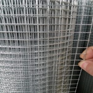 PVC Coated vs Galvanized Welded Wire Mesh